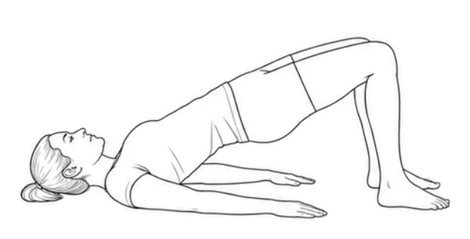 Bridge – Press both feet into the floor and lift your hips. Keep knees over feet and lift until your body forms a straight line from shoulders to knees. Lower your hips slowly and keep breathing calmly.