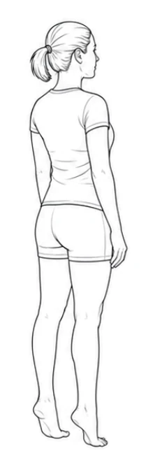 Bilateral calf raise – Lift both heels to the same height and rise onto the balls of your feet. Keep your knees and body still. Lower your heels slowly to the floor.
