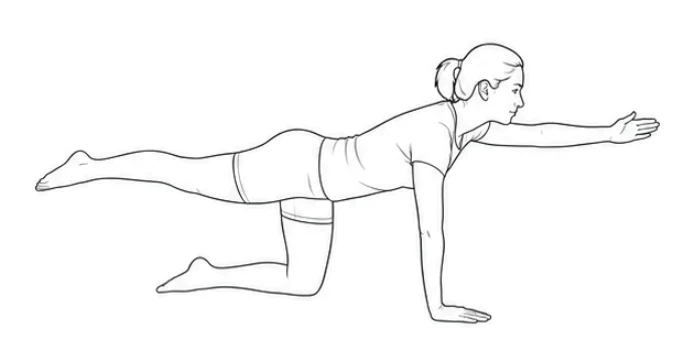 Bird dog – Lift your right arm forward and left leg back until they are level with your back. Keep your body still. Lower your hand and knee and change sides.