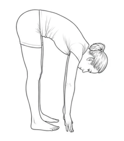 Standing forward bend – Bend your upper body forward as far as feels comfortable and let your arms reach toward your feet. Keep your knees straight and feet still. Rise slowly again.