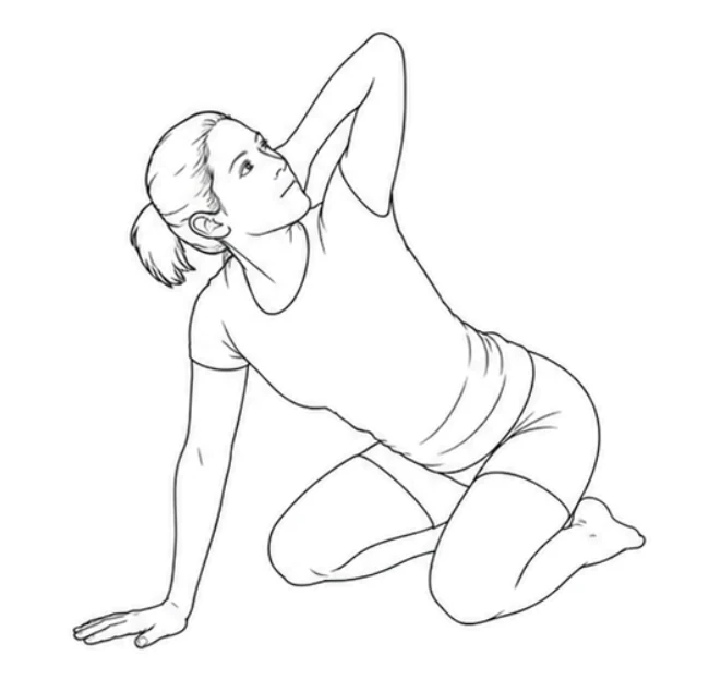 Kneeling thoracic rotation – Turn your upper body and move your right elbow toward the ceiling. Follow the elbow with your eyes and keep your left hand and knees still. Turn back until the elbow points down again.