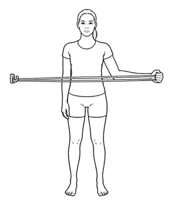 Band shoulder external rotation – Rotate your forearm outward against the band's resistance without letting your elbow leave your body. Keep your wrist straight and your upper body still. Then return your forearm to the starting position with control.
