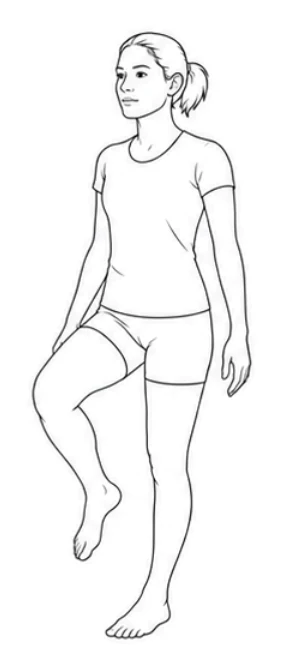 Single-leg balance – Stand on your left foot with the whole foot down and knee slightly bent. Lift your right foot and keep your body tall without using your hands. Hold for the prescribed time, lower your foot slowly, and change legs.