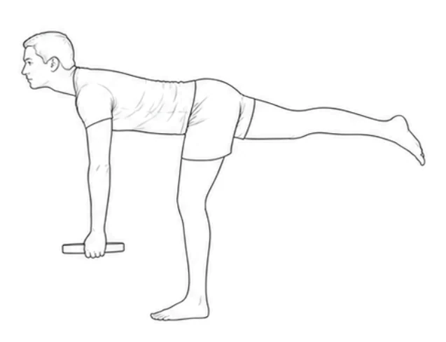 Single-leg deadlift with weight plate – illustration