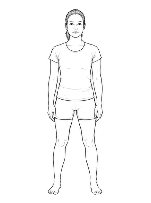 Standing trunk rotation with reach – Stand with your feet about shoulder-width apart and bend your knees slightly. Lengthen your spine and let your arms hang loosely by your sides.