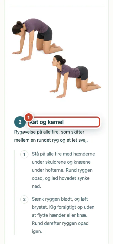 Det opdaterede patientprogram med den nye øvelse markeret.