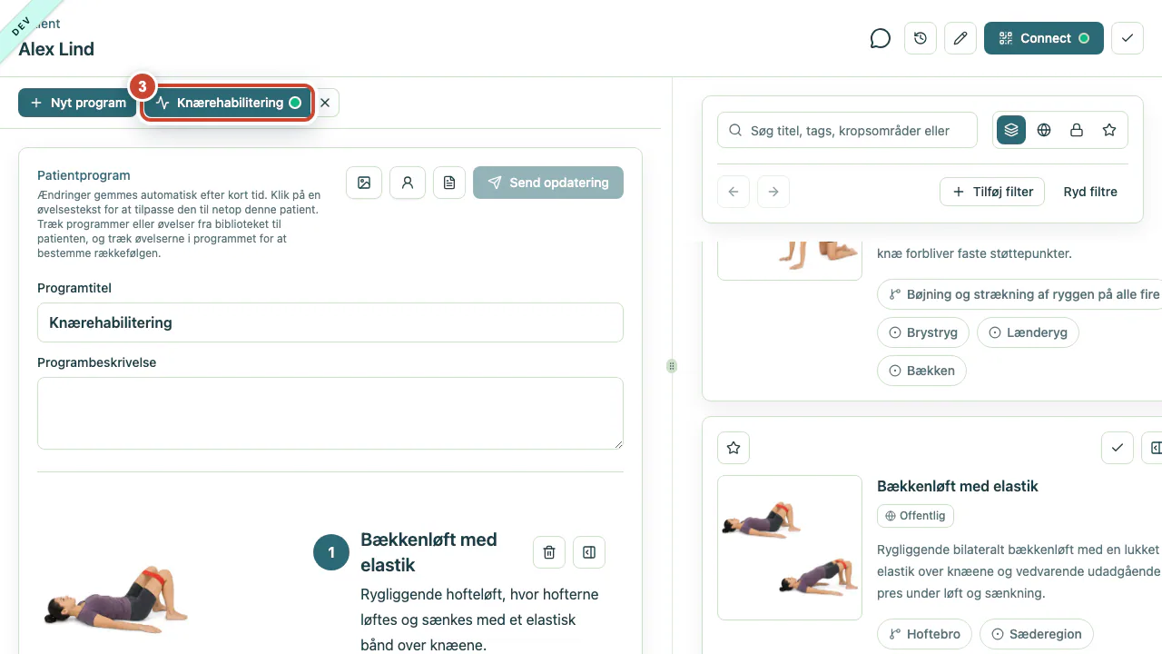 Programarbejdsområdet med en grøn statusprik på fanen for det leverede program.