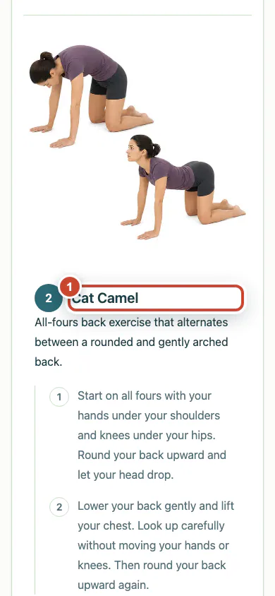 Updated patient programme with the new exercise highlighted.