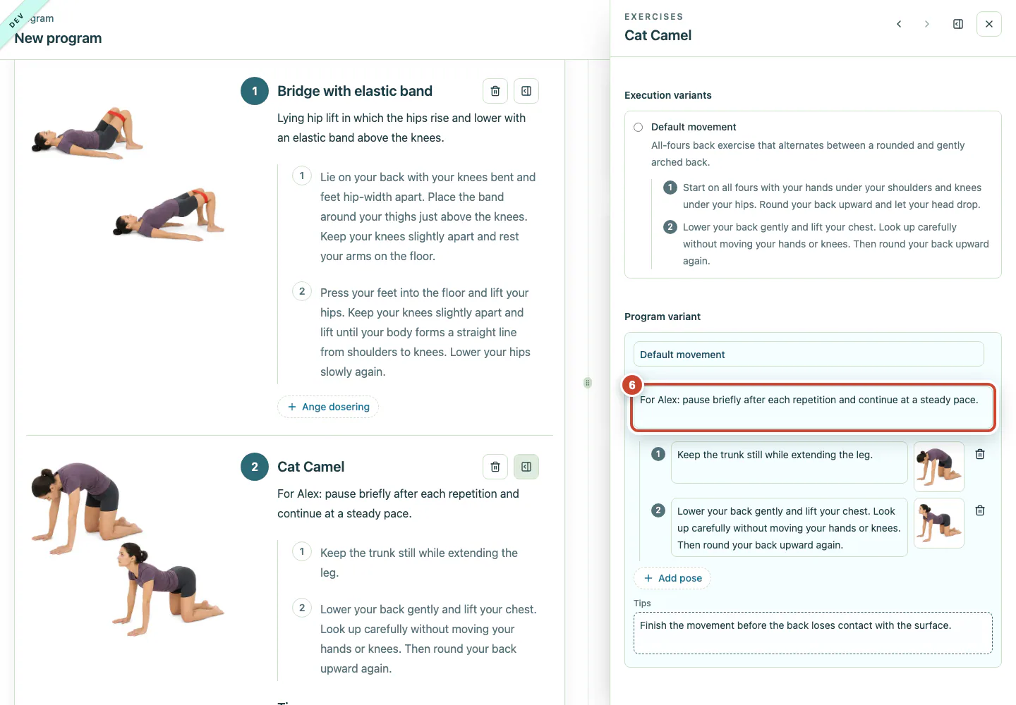 Programme template variant editor with customised instructions, pose instructions and tips.
