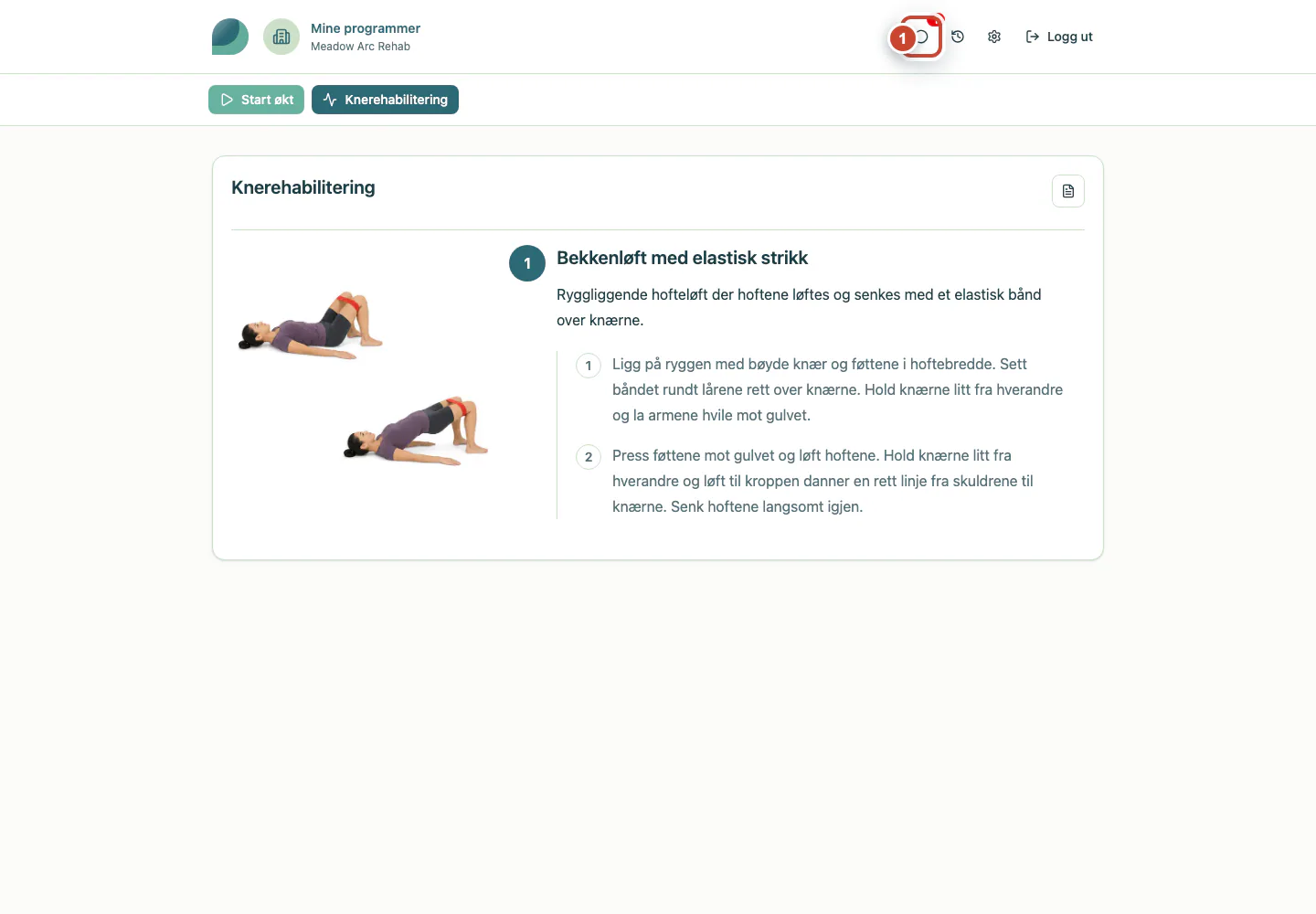Pasientprogrammet med knappen Meldinger markert.