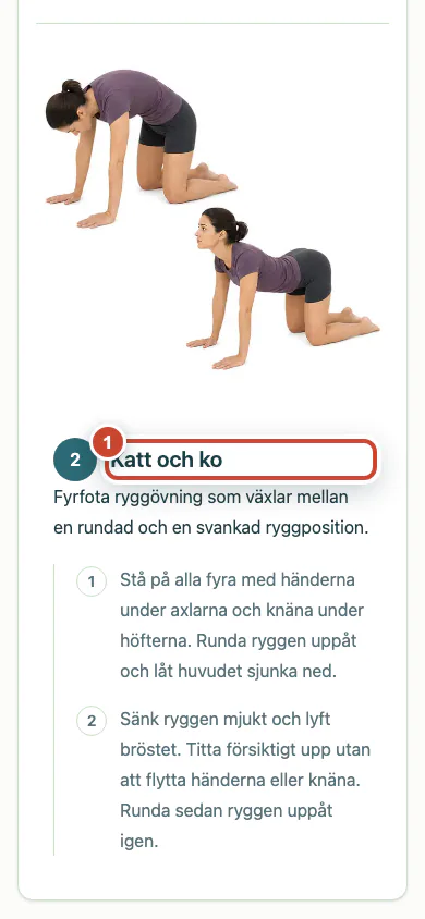 Det uppdaterade patientprogrammet med den nya övningen markerad.